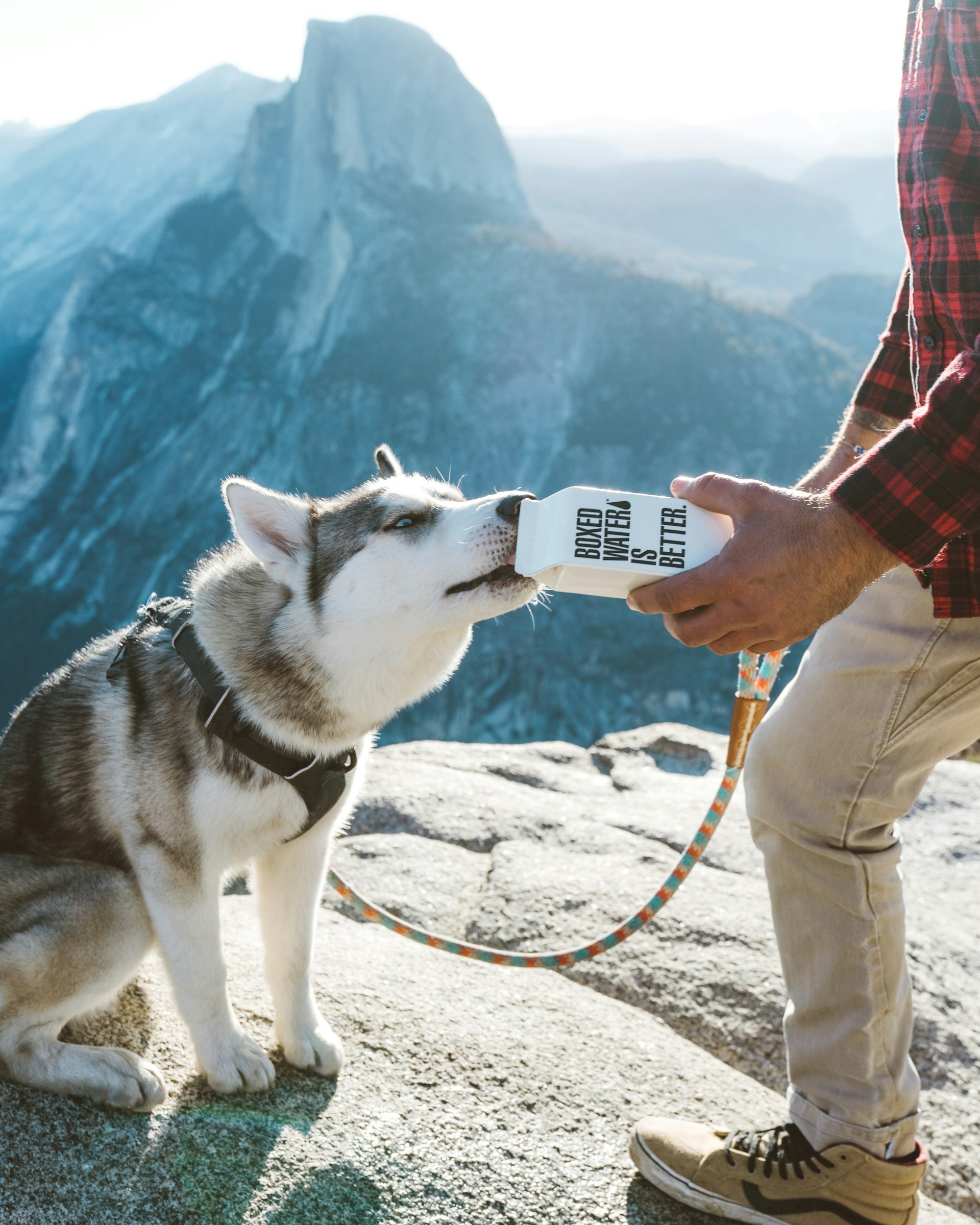 Preparing for your trip